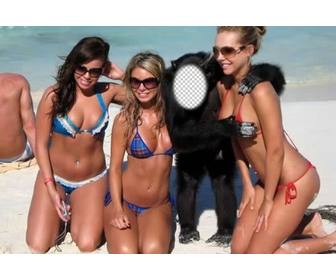 criar fotomontagem um macaco com tres meninas swimsuit