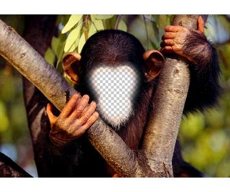 divertimento efeito colocar seu rosto um macaco em linha