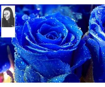 personalize o seu perfil no twitter com este fundo azul rosa twitter e sua propria foto ao lado