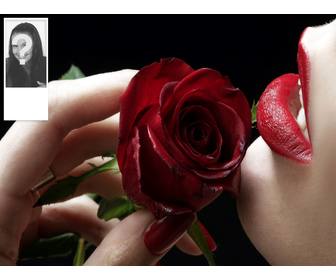 fundo romantico o twitter com uma rosa vermelha personalizavel com sua propria foto