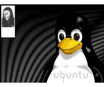 background o twitter do mascote do linux tux onde voce pode colocar sua foto
