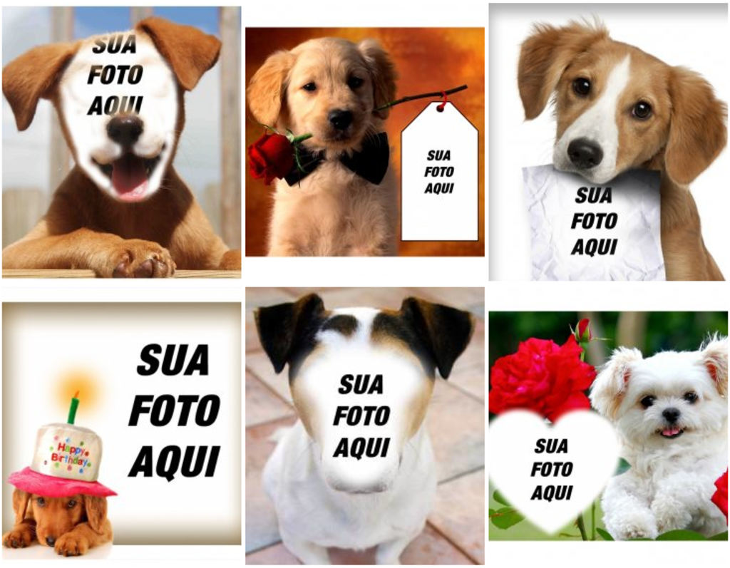 Efeitos de fotografia de cães para editar com sua foto favorita de graça