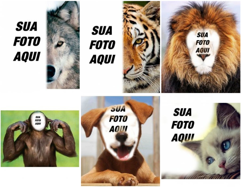 Fotomontagens com animais