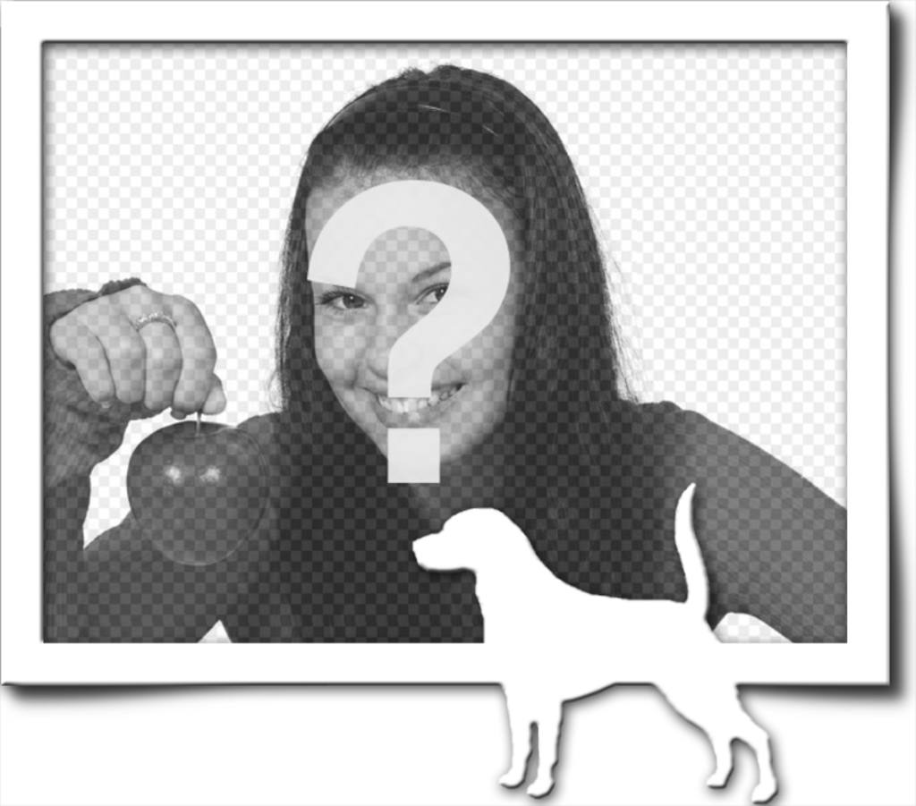 Digital Picture Frame, que consiste em uma borda cinza e uma silhueta branca de um cão com o rabo levantado, como se tivesse encontrado uma..