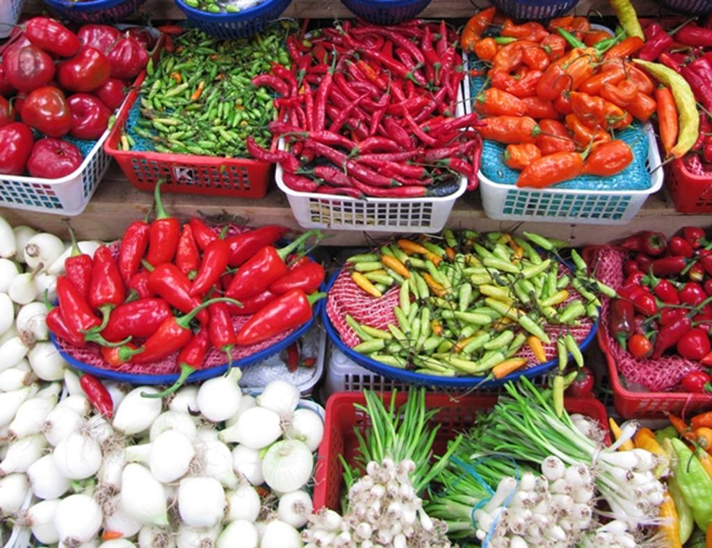 Brinque com seus filhos para encontrar a foto entre o vegetal e educá-los se divertindo aprender a comer..