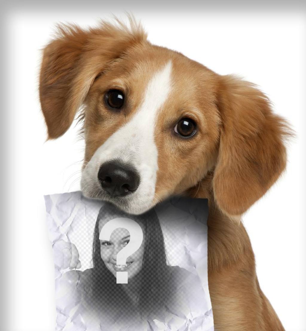 Fotomontagem com cachorro triste olhando para o seu proprietário, que tem um papel na boca, onde você pode fazer upload de uma..