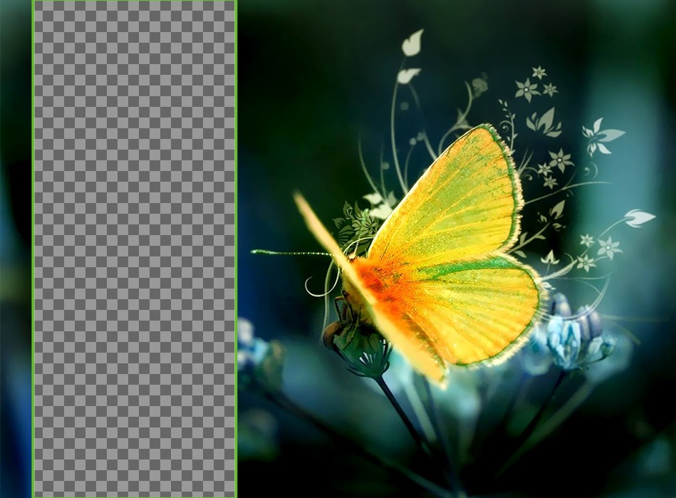 Papel de parede para duas fotos com uma borboleta amarela no cimo de uma flor. ..