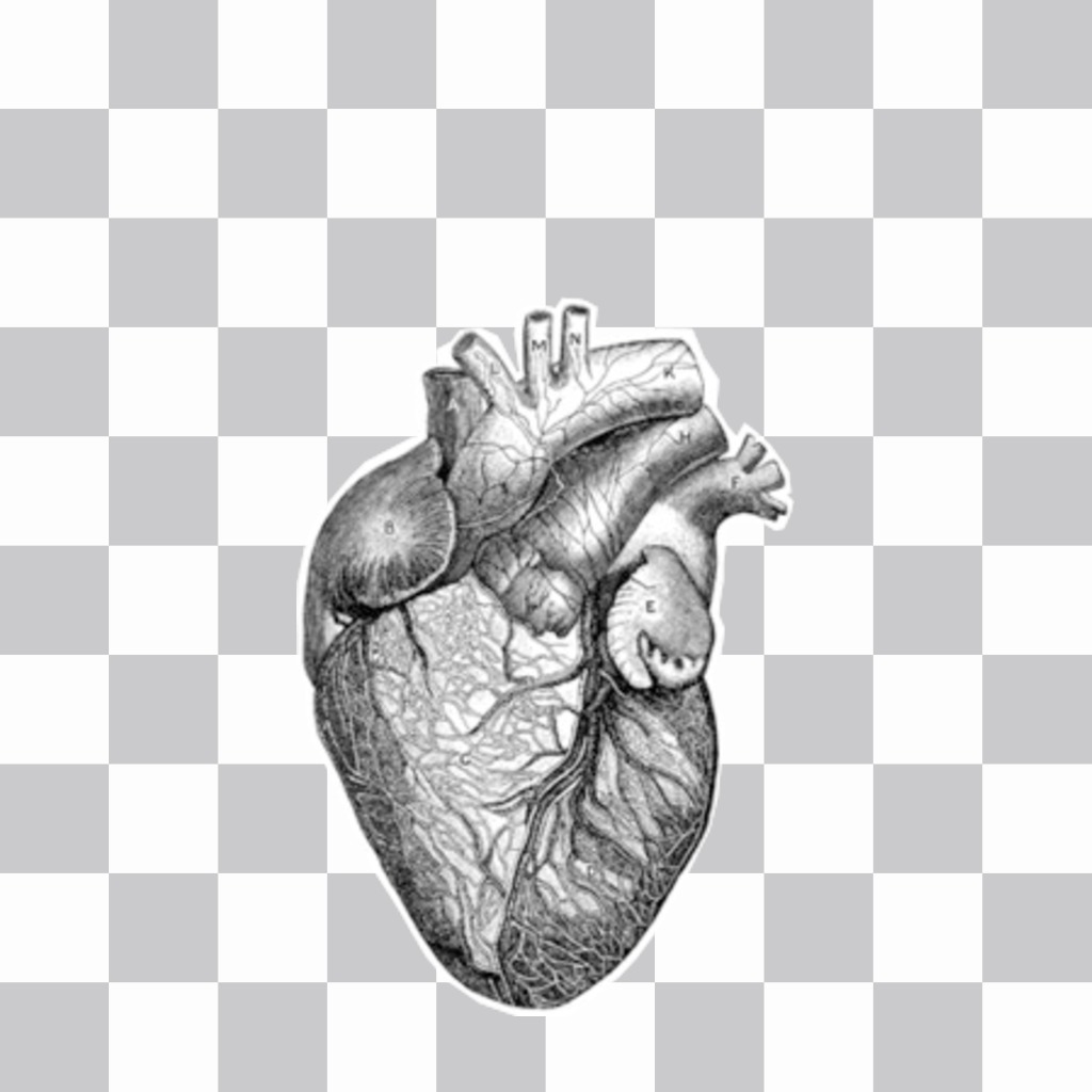 Etiqueta do tatuagem do coração humano em preto e branco. ..