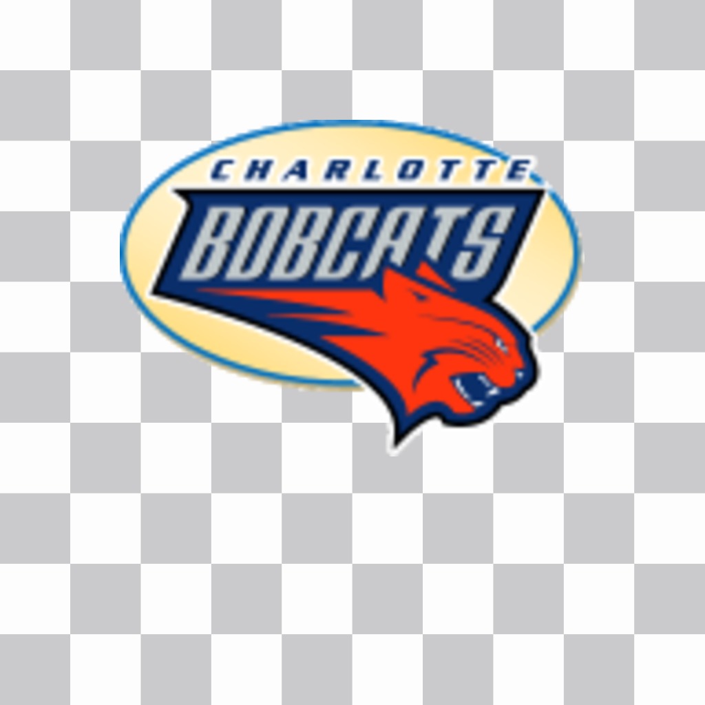 Etiqueta com o logotipo do Charlotte Bobcats. ..