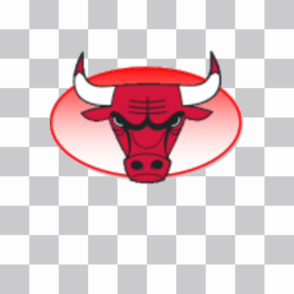 Etiqueta com o logotipo do Chicago Bulls. ..