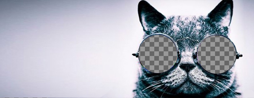 Foto da capa personalizada no Facebook com um gato com óculos de sol ..