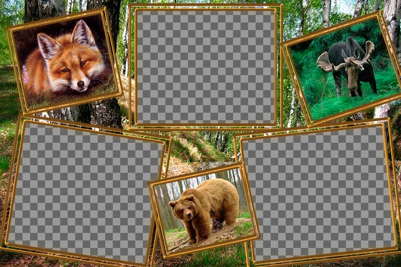 Colagem de animais para editar com três fotos de si mesmo. ..
