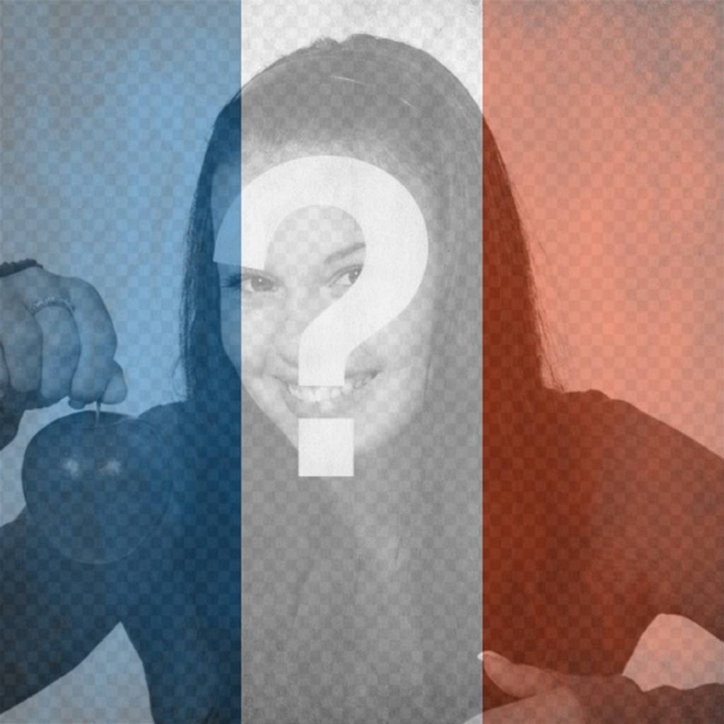 Bandeira da República Francesa para colocar em sua foto Envie uma mensagem facebook ou twitter. ..
