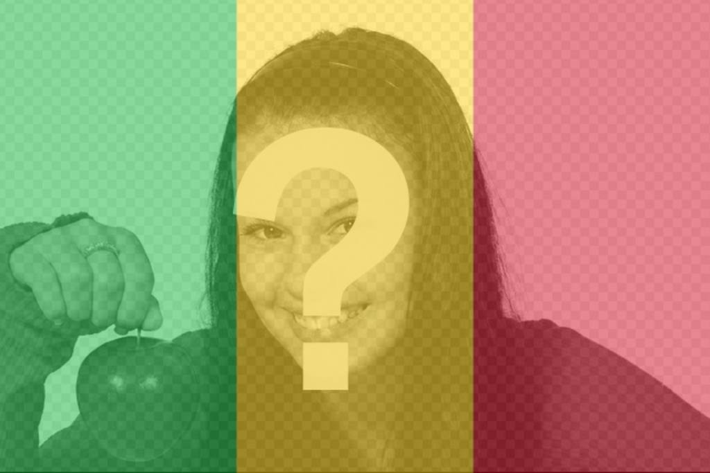 Bandeira de Mali para colocar em suas fotos de perfil ..