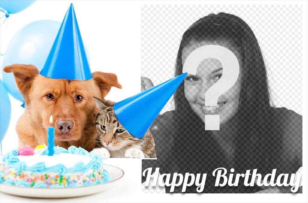 Cartão de aniversário doce com um cão e um gato para uma foto ..