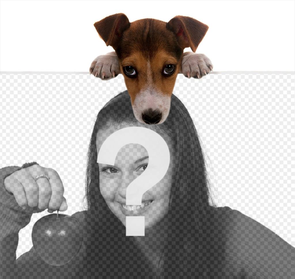 efeito on-line de um filhote de cachorro bonito segurando sua foto ..