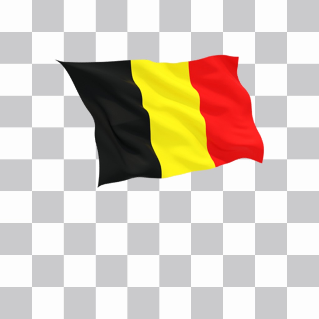 Etiqueta para fotos com a bandeira de Bélgica com estilo realista ..