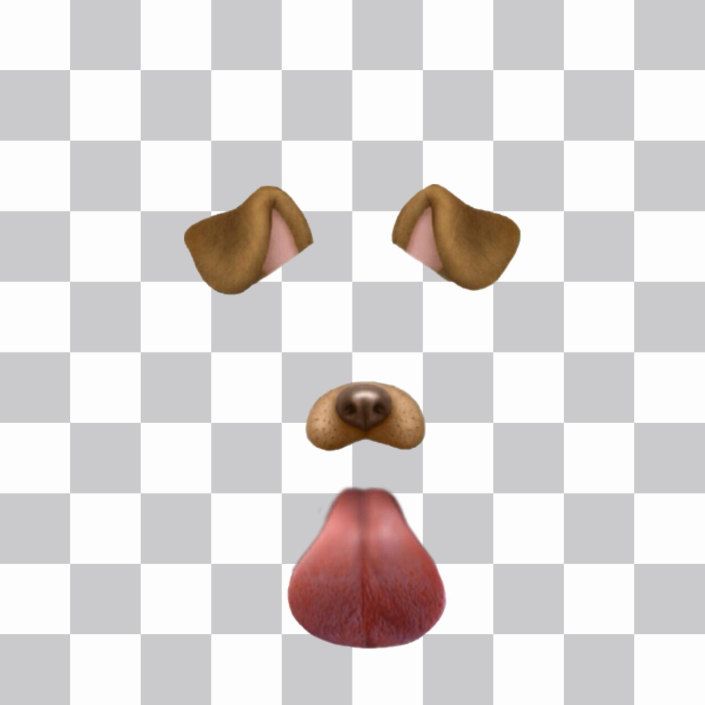Filtro Dog Snapchat saindo a sua língua para colocar em seu rosto 