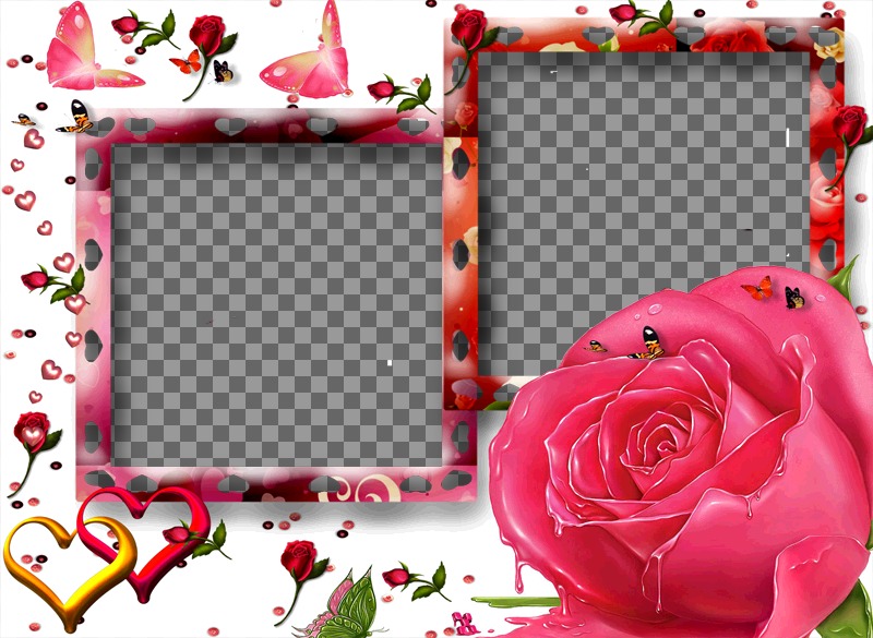 Moldura para duas fotos, motivos amorosos, como borboletas, rosas e corações. Fundo branco, a cor rosa..